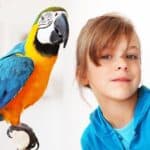 do parrots understand what we say?