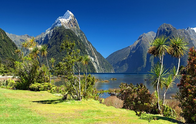 île de Nouvelle-Zélande