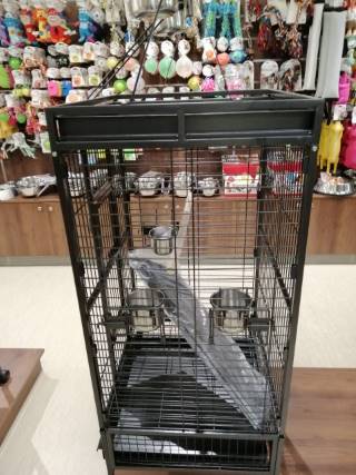 cage perroquet quaker