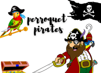 perroquet pirates