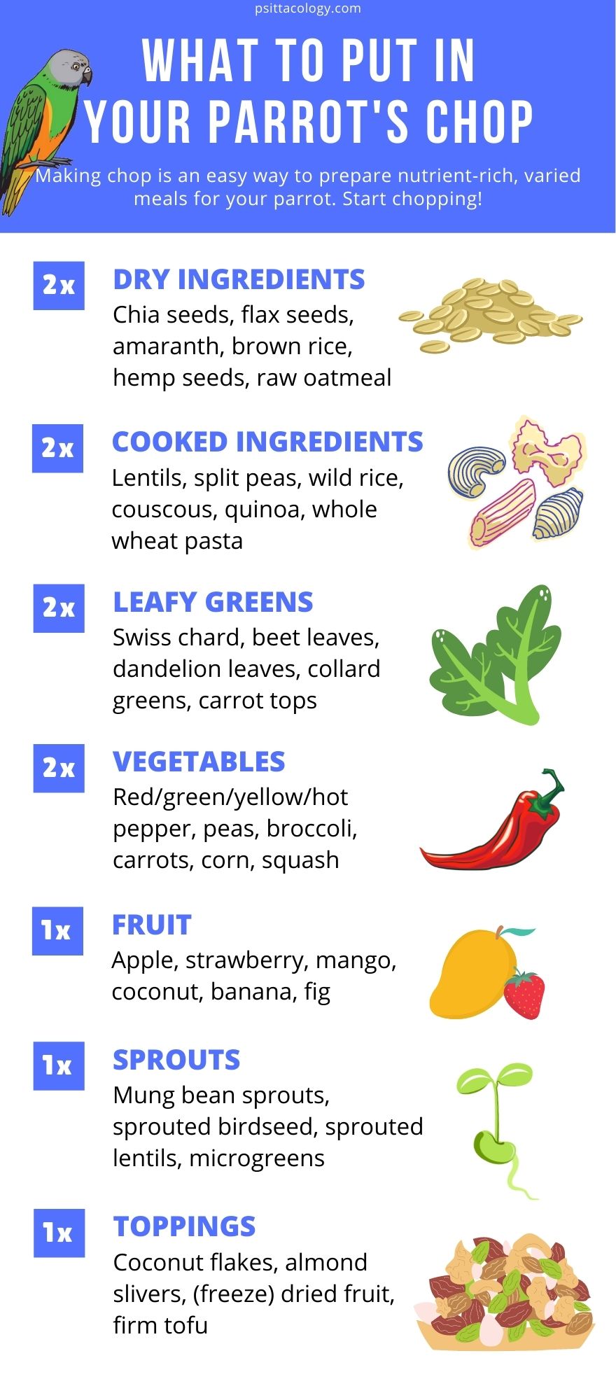 Infographie répertoriant les ingrédients possibles pour la nourriture hachée pour perroquets.