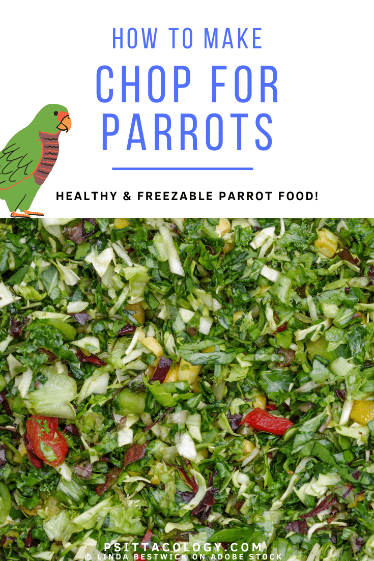 Hacher (un mélange de légumes et d'autres aliments) pour les perroquets.  |  Que mange un perroquet ?