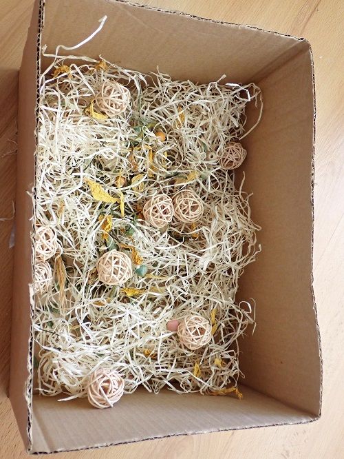 Photo d'ensemble d'une boîte de recherche de nourriture pour perroquet remplie de divers objets.