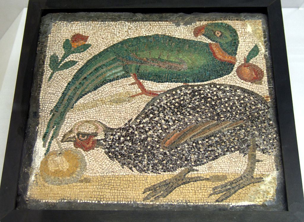 Mosaïque romaine représentant un perroquet Psittacula et une pintade.