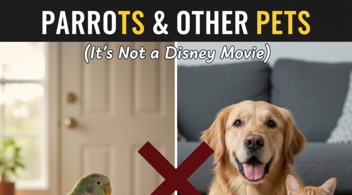 The Truth About Parrots and Other Pets (It’s Not a Disney Movie)
